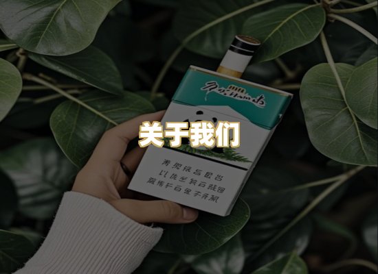 关于我们